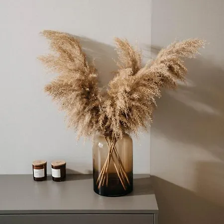 Apartment Arra